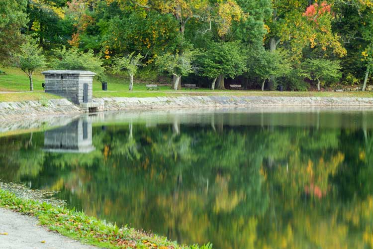 Real Estate Broker Brookline MA reservoir