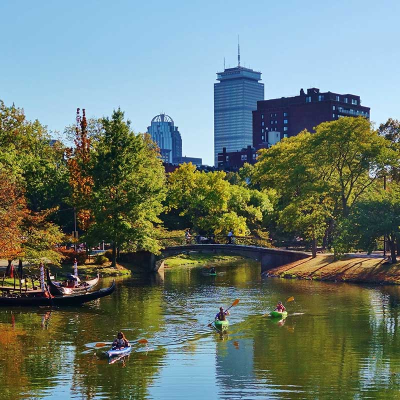Kayaks on the Charles River Esplanade in Boston Massachusetts lined with trees a bridge across the water and city buildings in the background on a beautiful clear blue sky autumn day
