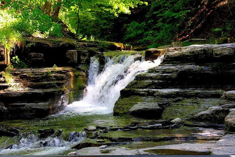 real estate broker hyde park stony brook reservation