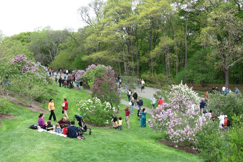 alt tagreal estate broker jamaica plain ma