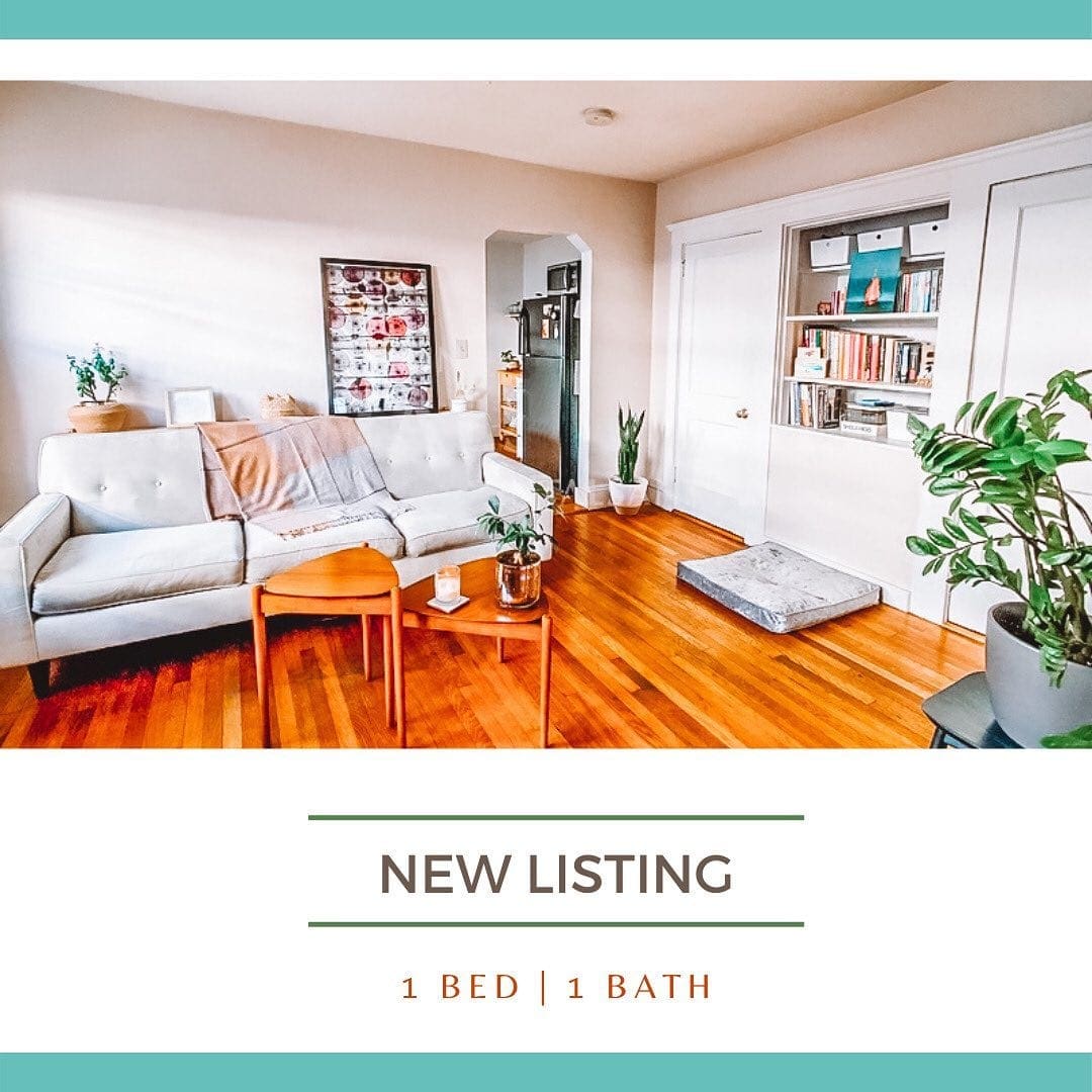 alt tagnew listing w a s h i n g t o n 1 bed 1 bath corgie not included a spacious roslindale treat easy on