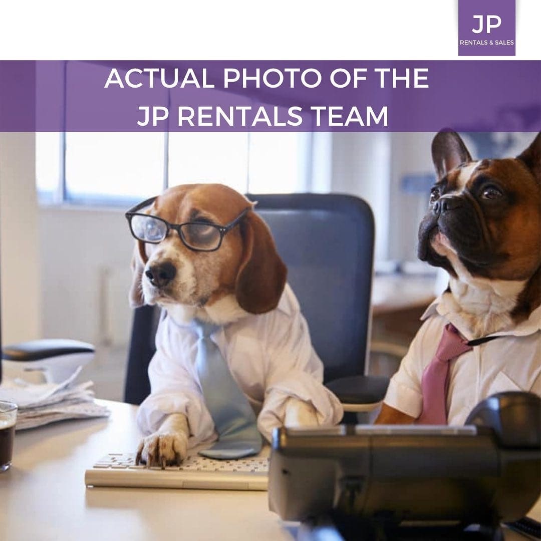 bigthingsarecomingforjamaicaplainrentalssaleswearenotonlyhardatworkhelpingyoufind | JP Rentals Sales alt tagbig things are coming for jamaica plain rentals sales we are not only hard at work helping you find