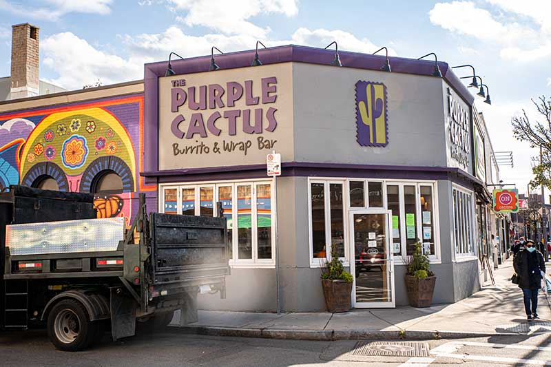 jamaica plain real estate guide