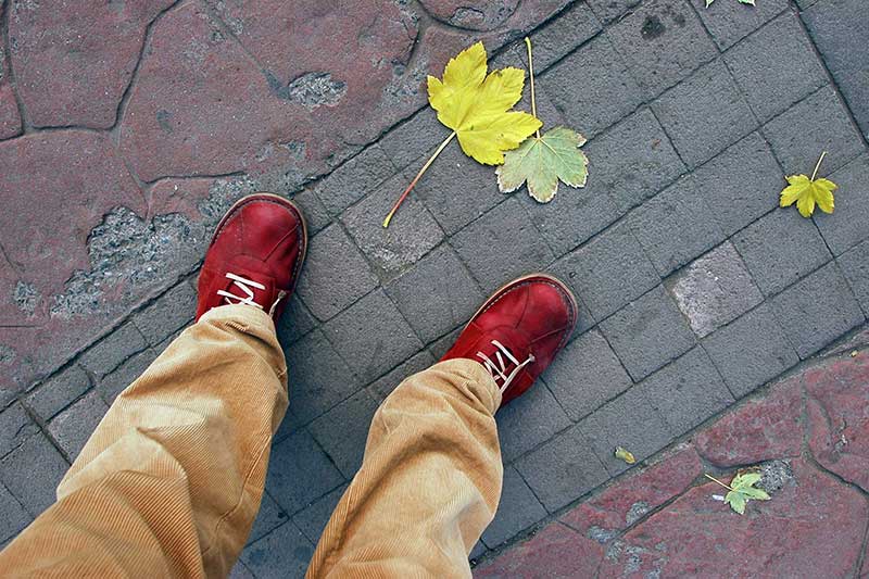 roslindale real estate guide