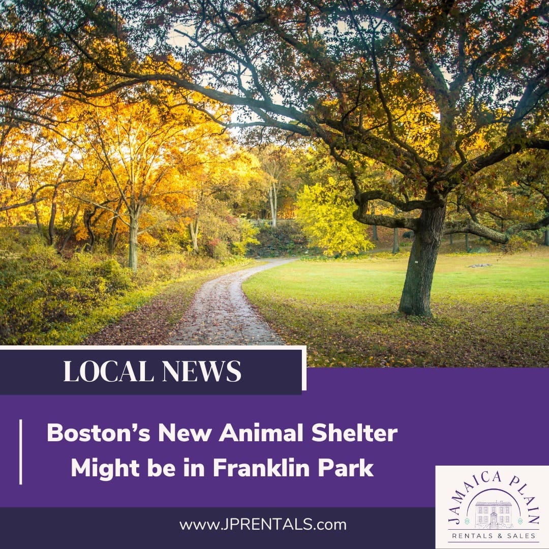 alt tagcity officials and departments are looking into putting a new city animal shelter in franklin park 