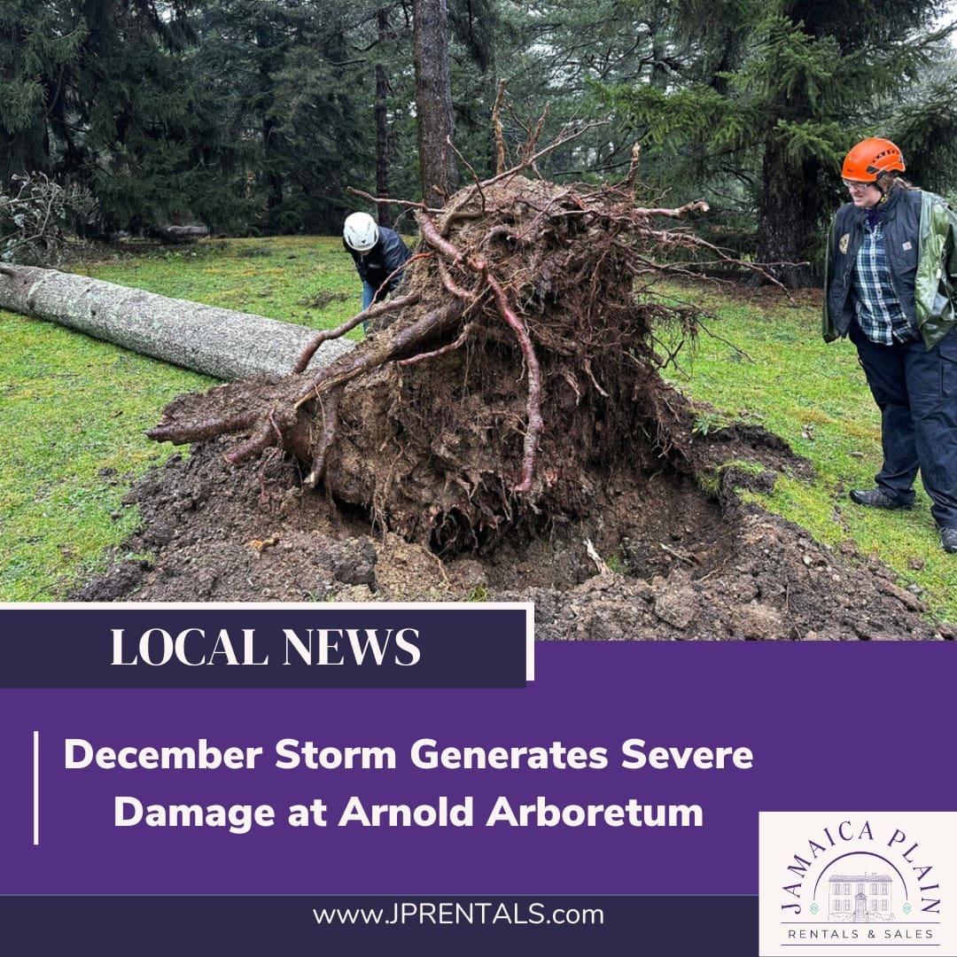 ondecember18morethantwoinchesofrainandwindgustsexceeding50milesperhourwreakedsigni | JP Rentals  Sales alt tagon december 18 more than two inches of rain and wind gusts exceeding 50 miles per hour wreaked signi